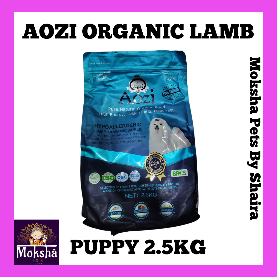 Aozi Dog