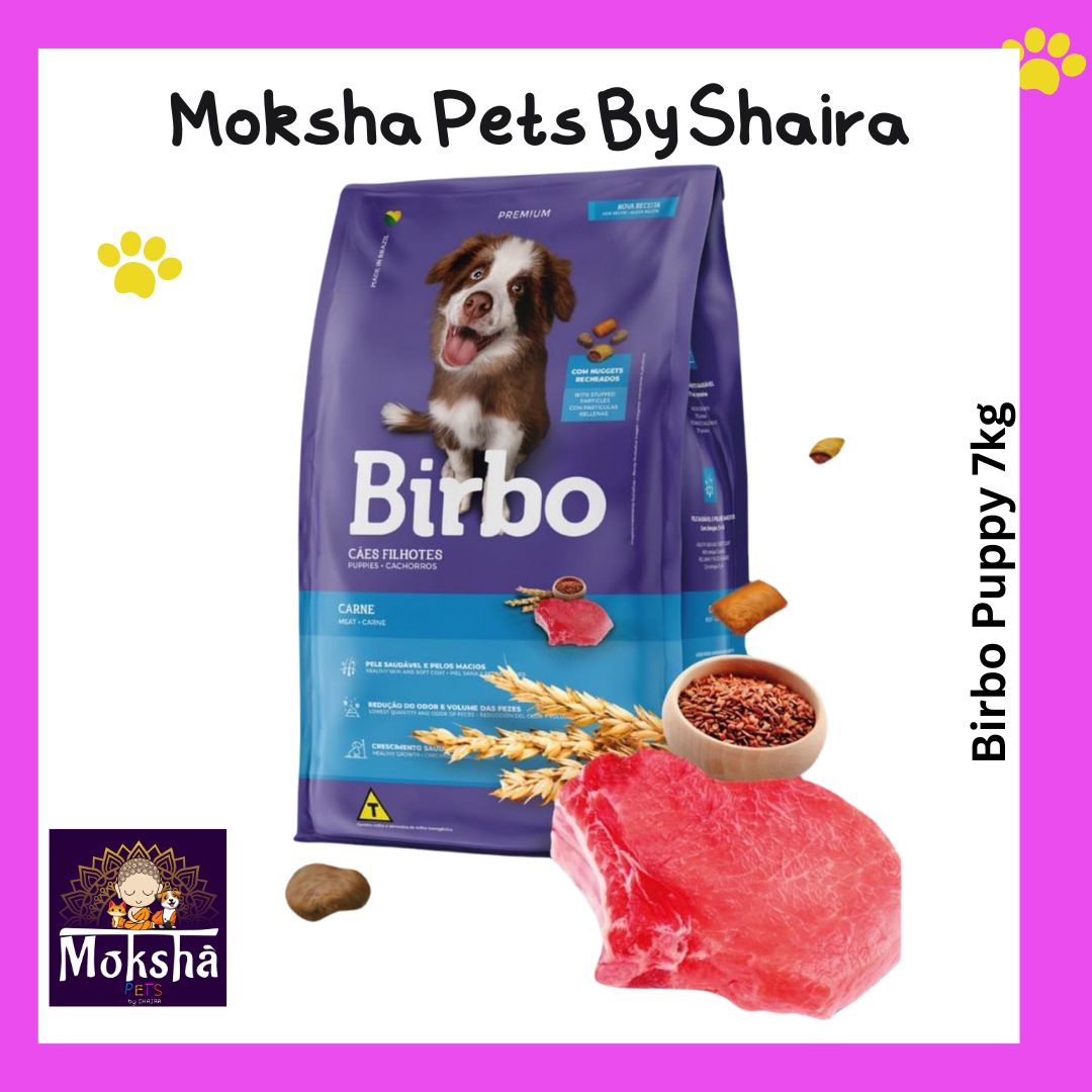 Birbo Dog Adult