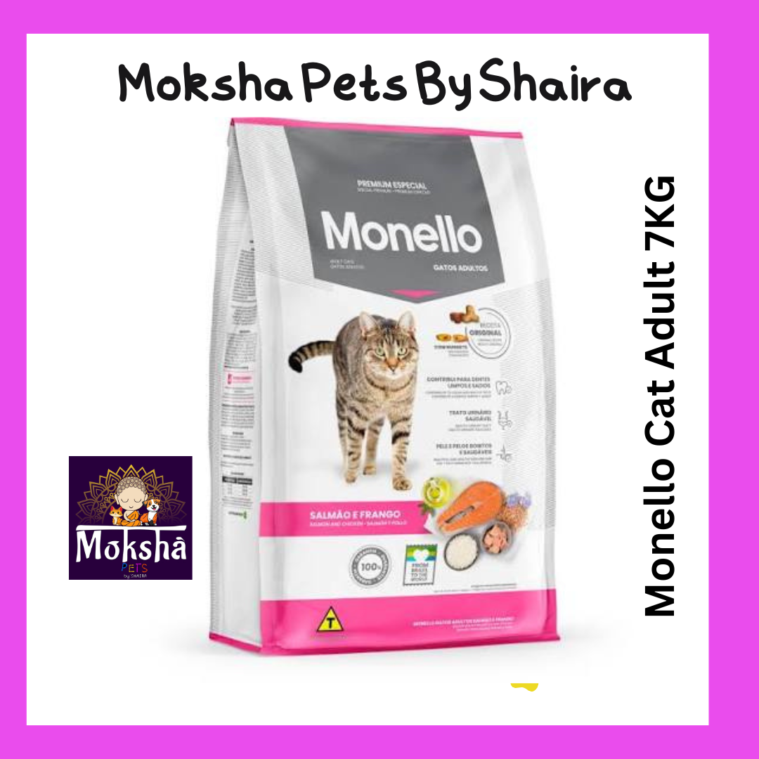Monello cat Adult
