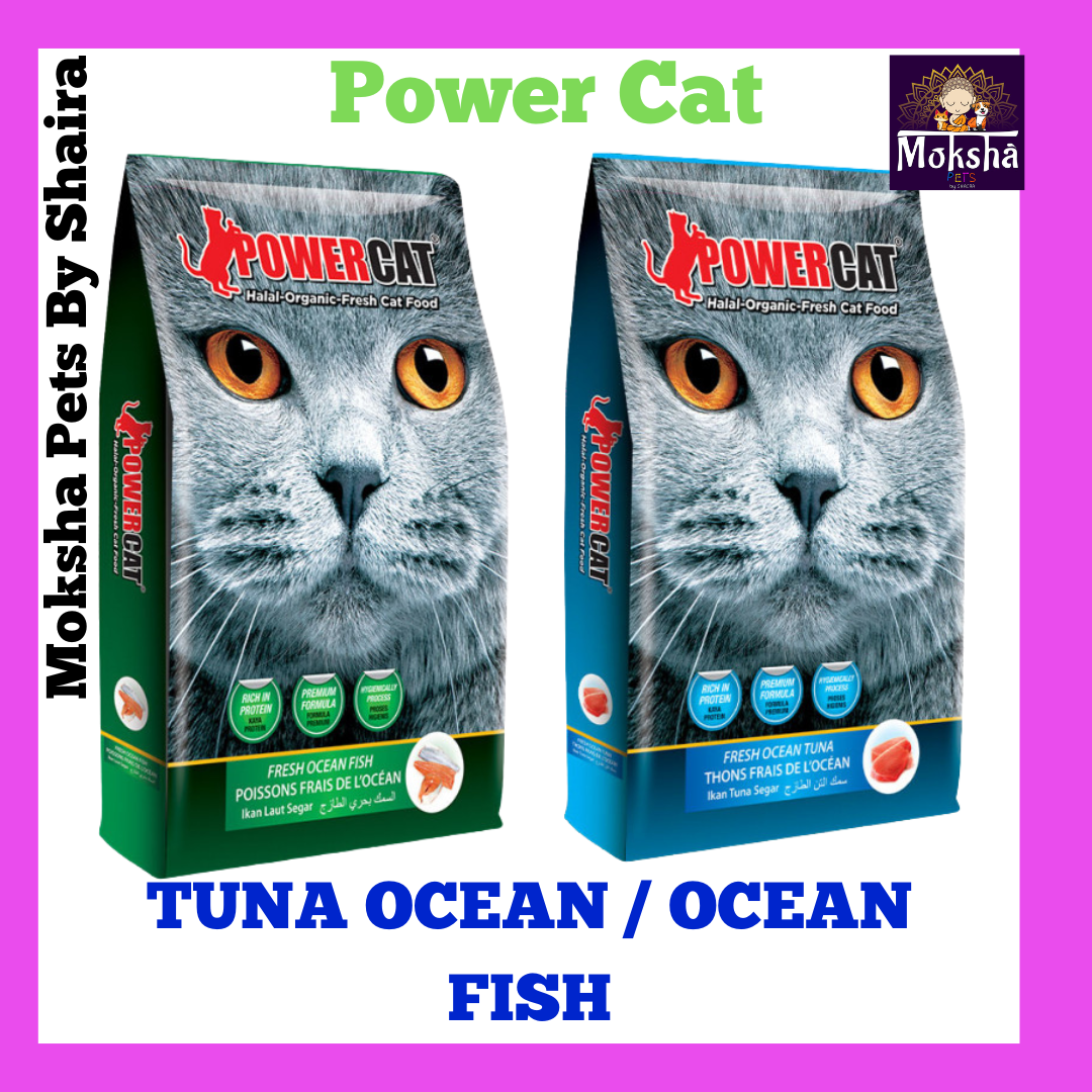 Power Cat