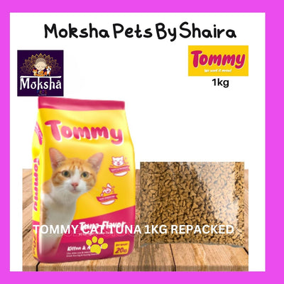 Tommy Cat