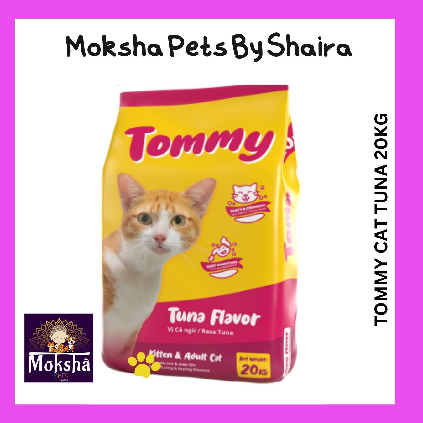 Tommy Cat
