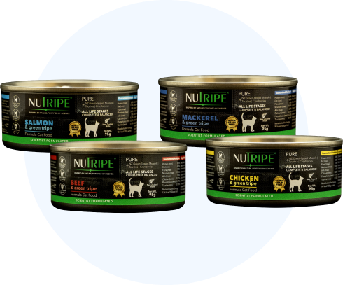 Nutripe Dog Can
