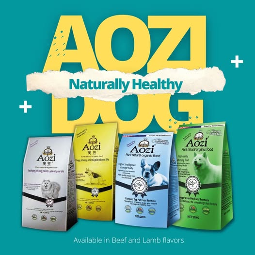 Aozi Dog