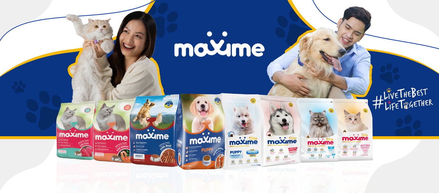 Maxime