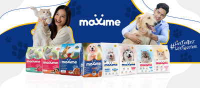 Maxime