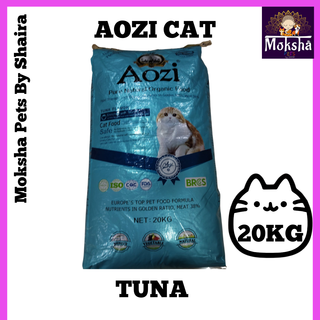 Aozi Dog