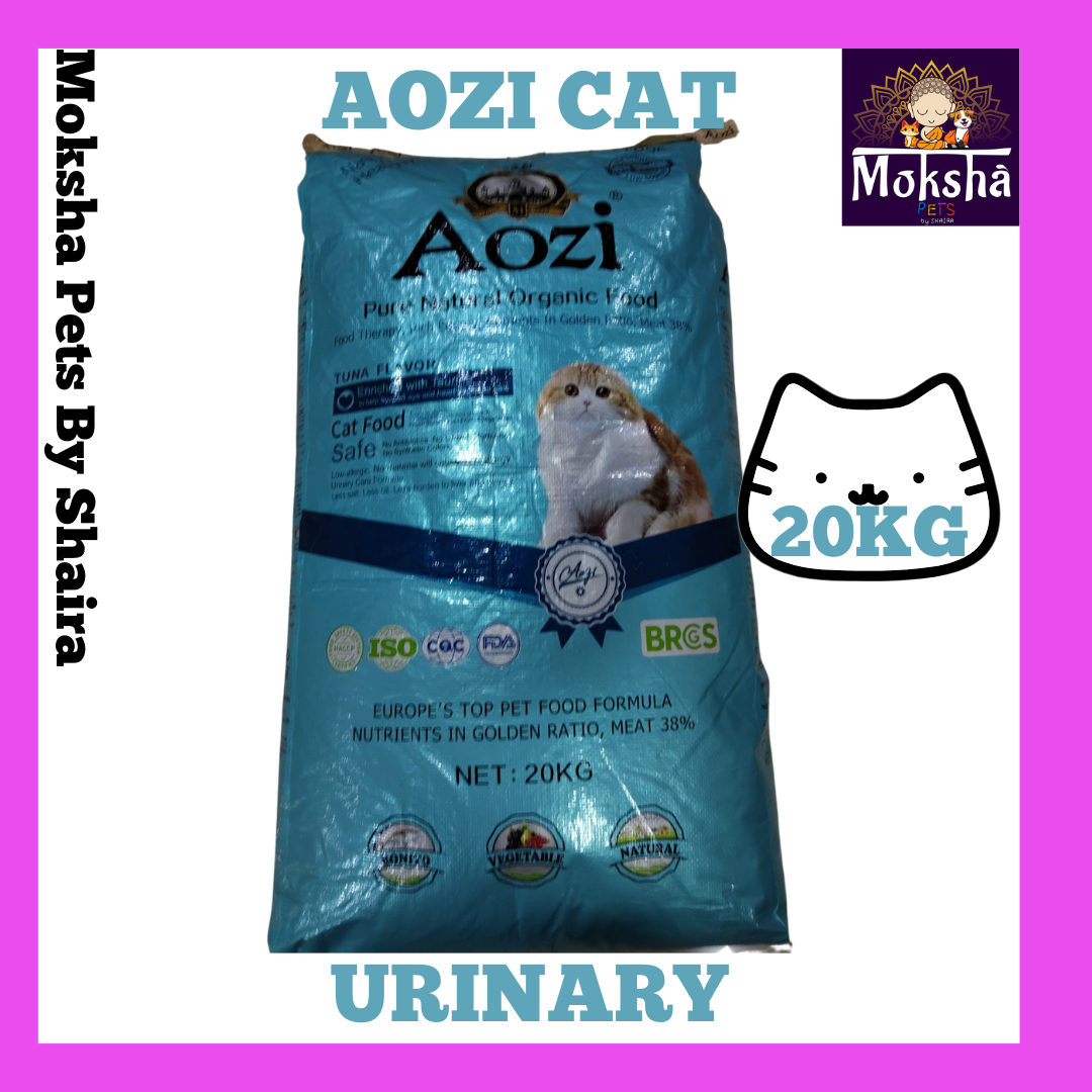 Aozi Dog