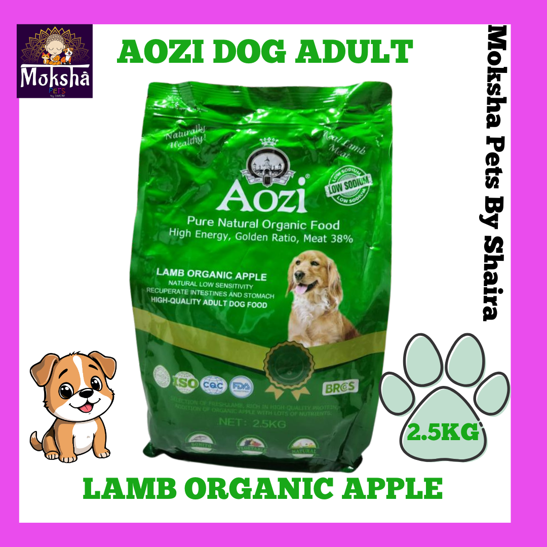 Aozi Dog