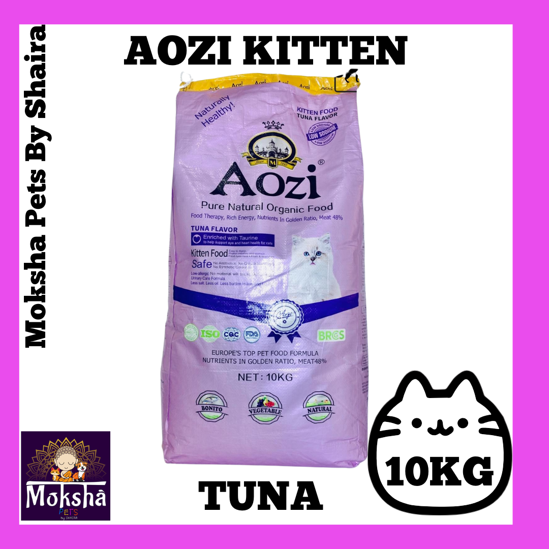 Aozi Dog