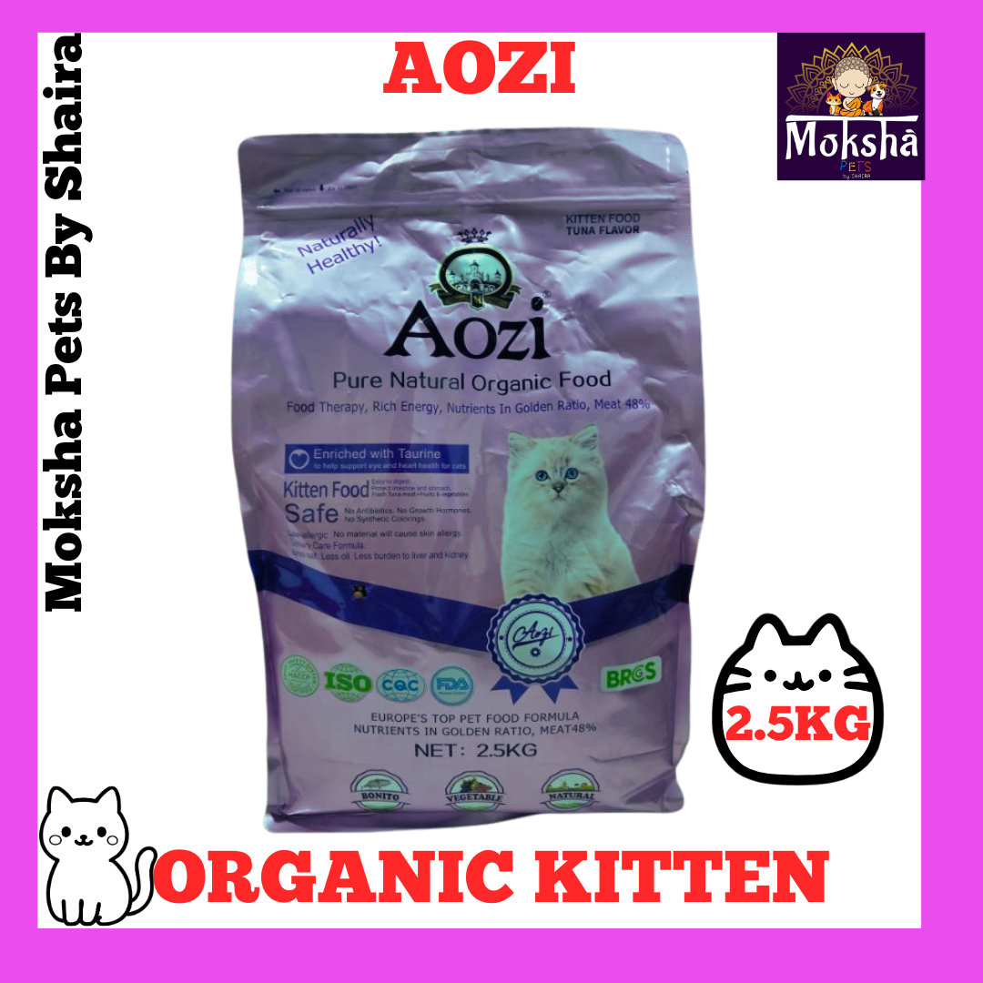 Aozi Dog