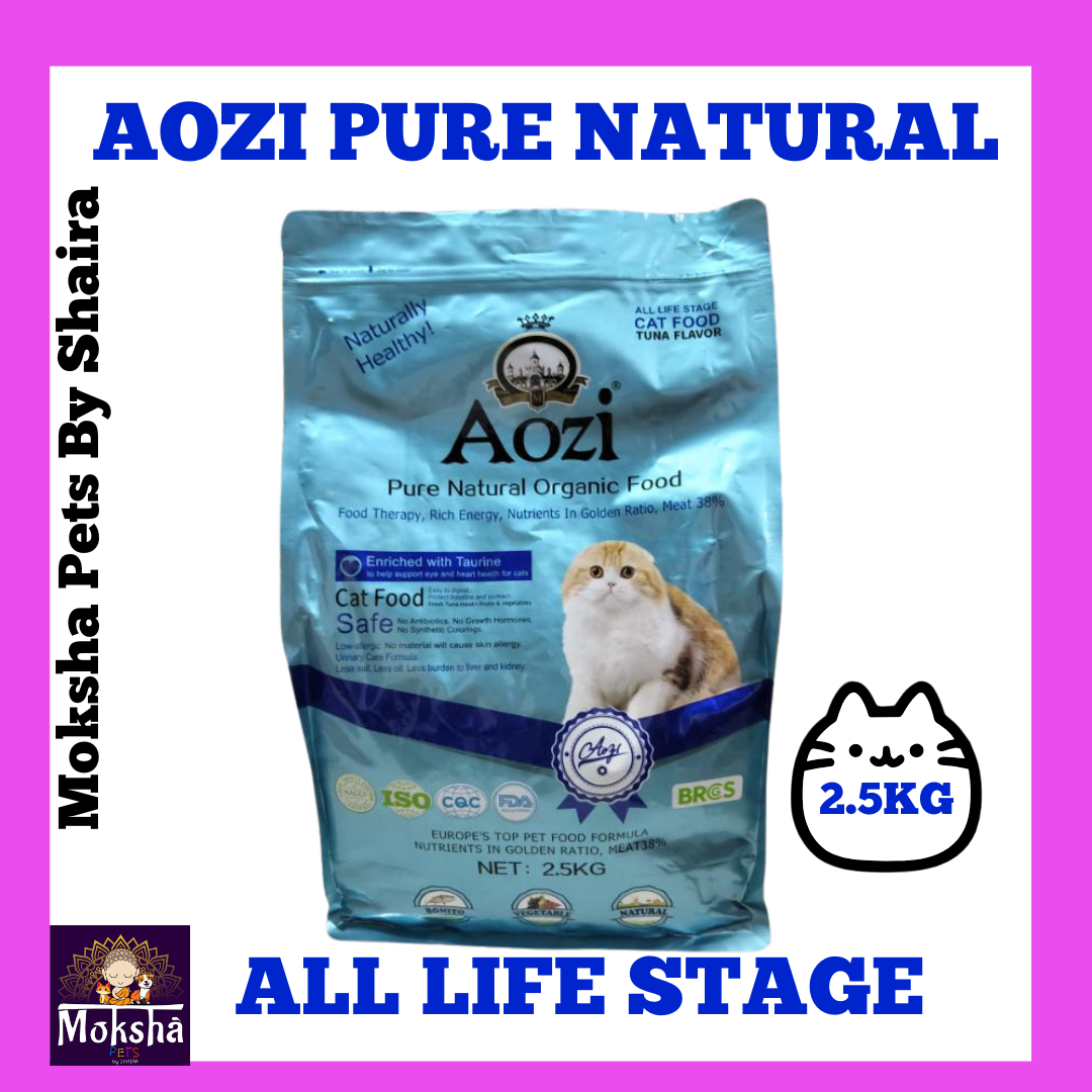 Aozi Dog
