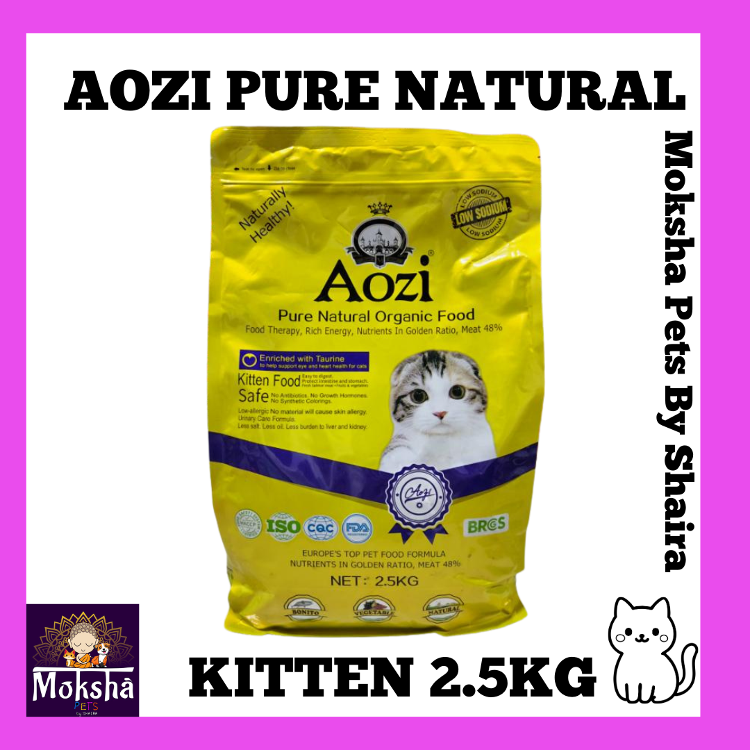 Aozi Dog