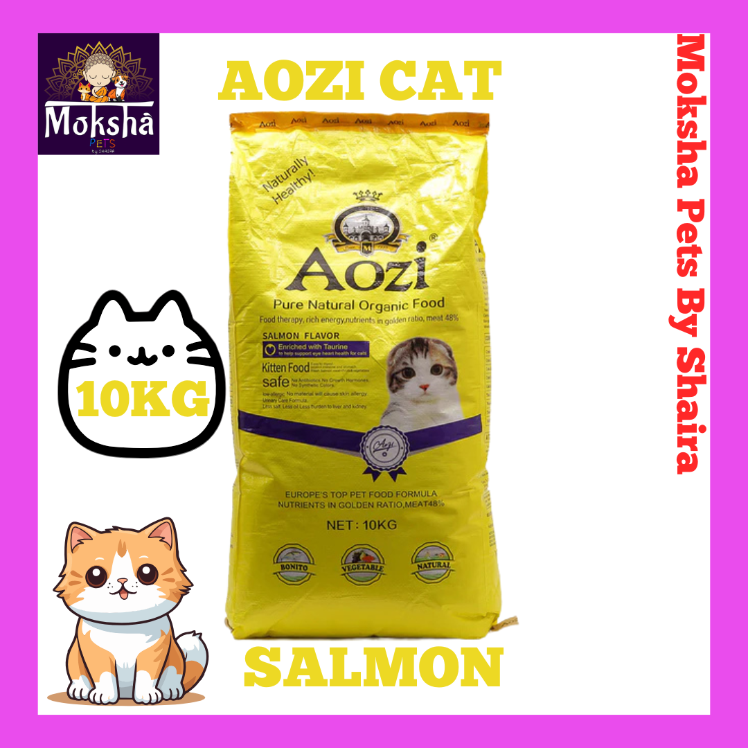 Aozi Dog