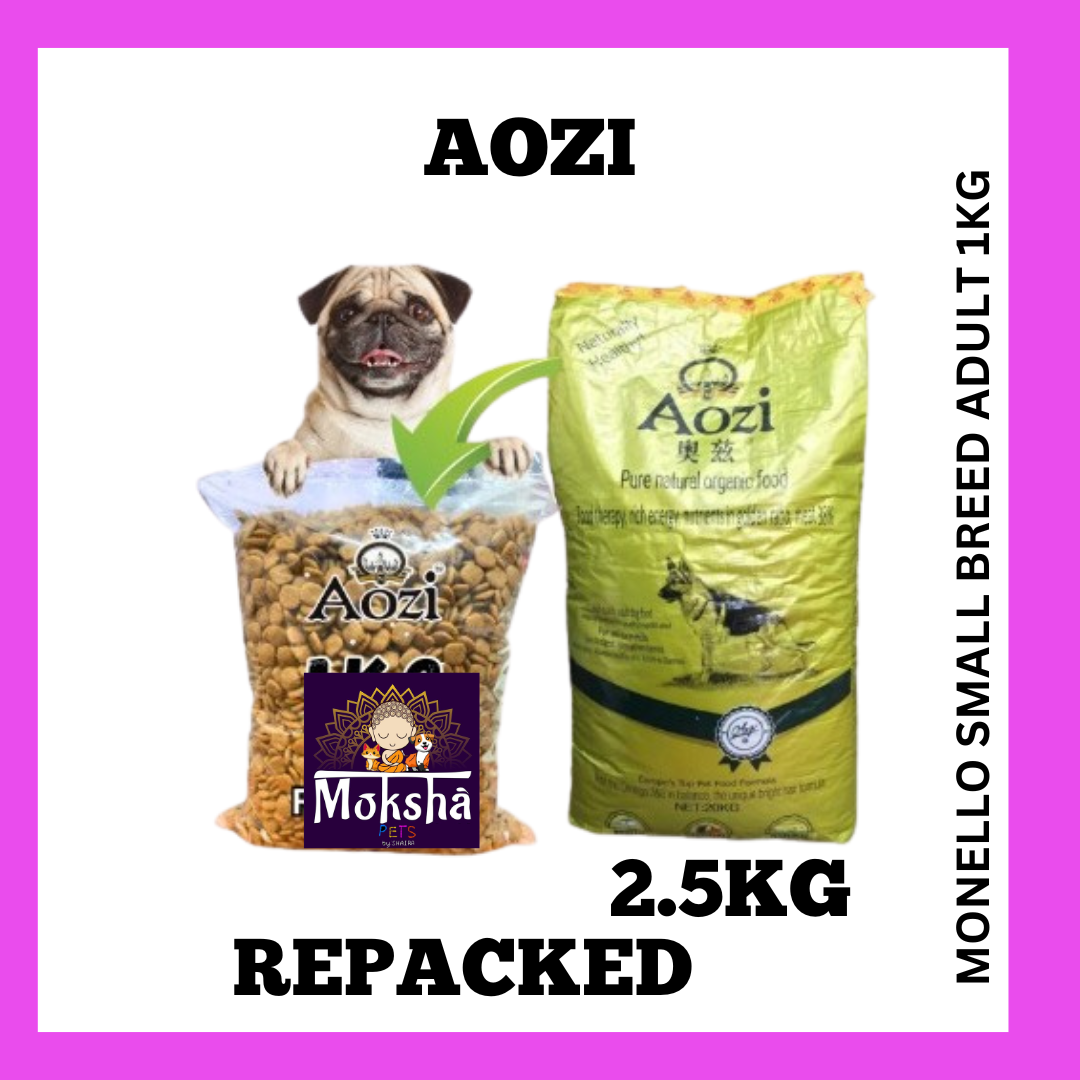Aozi Dog