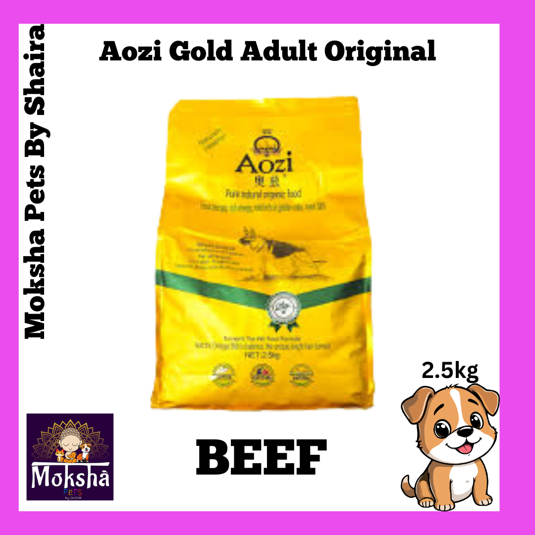 Aozi Dog