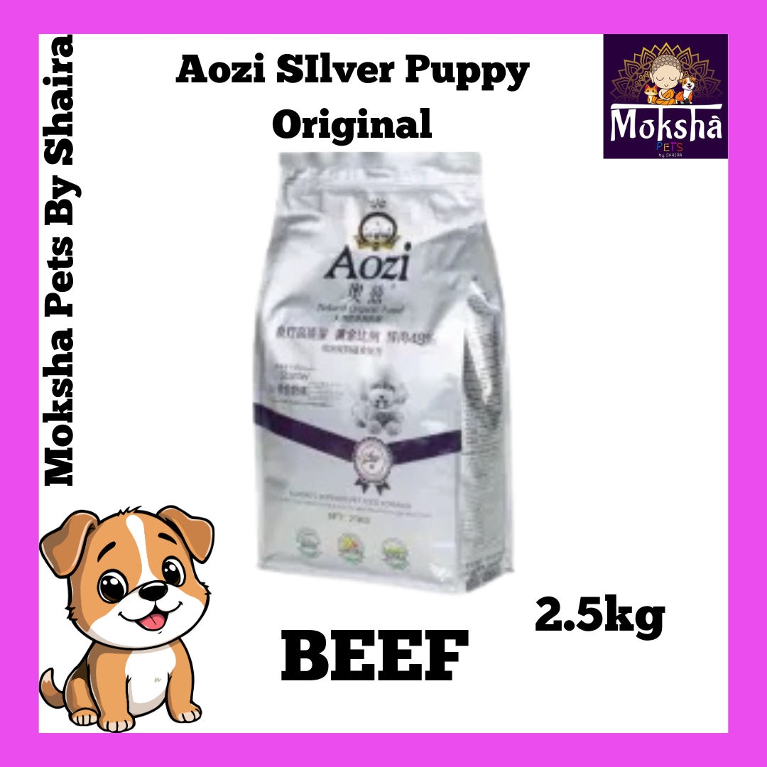 Aozi Dog