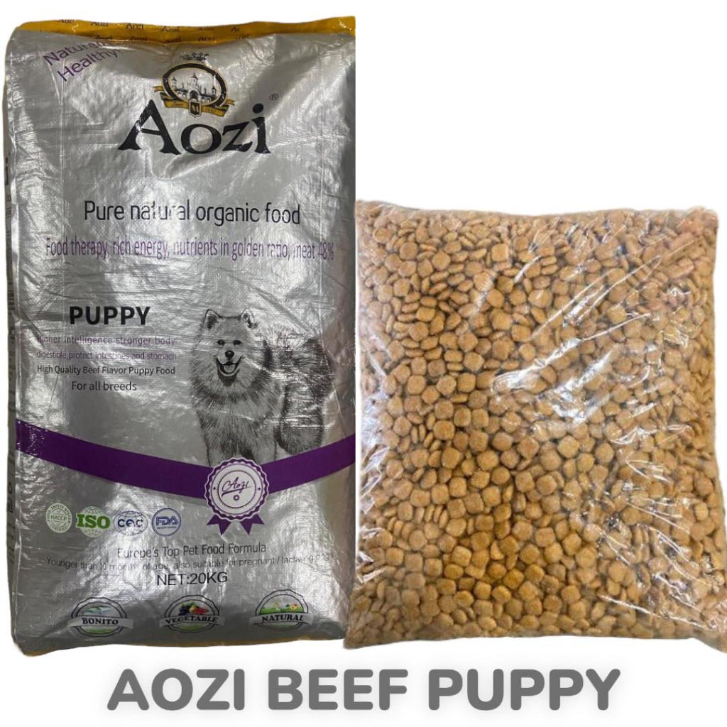 Aozi Dog