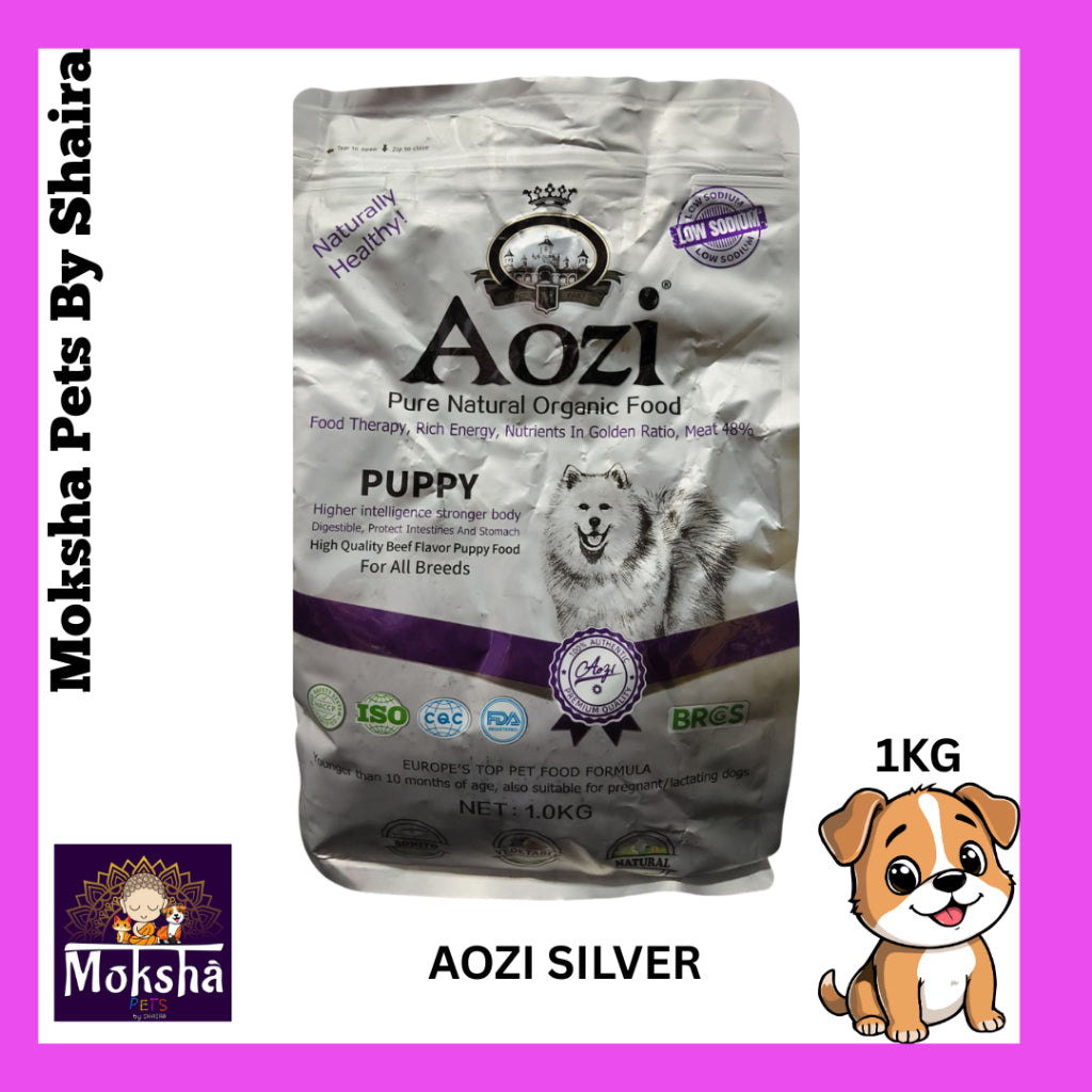 Aozi Dog