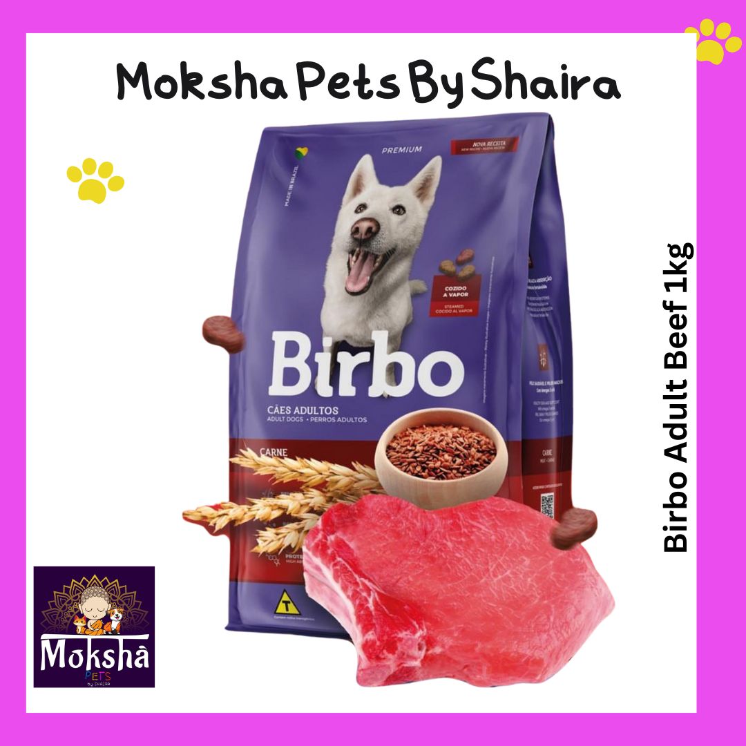 Birbo Dog Adult