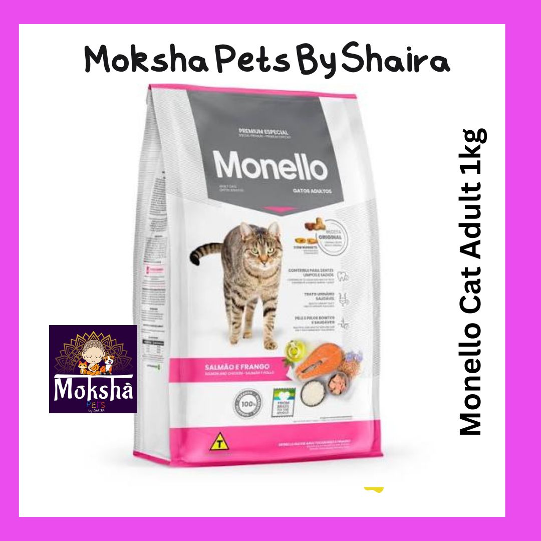 Monello cat Adult