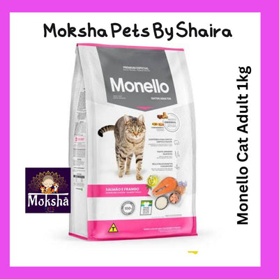 Monello cat Adult