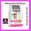 Monello cat Adult