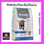 Monello Dog Adult