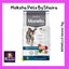 Monello Dog Adult