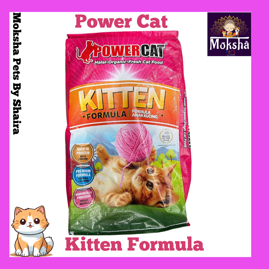 Power Cat
