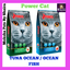 Power Cat