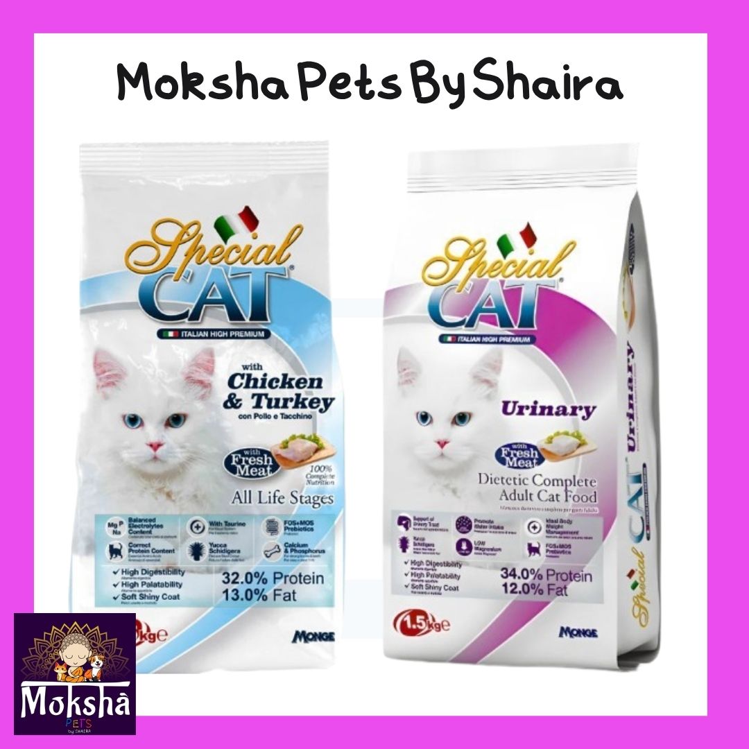 Special Cat Dry Food
