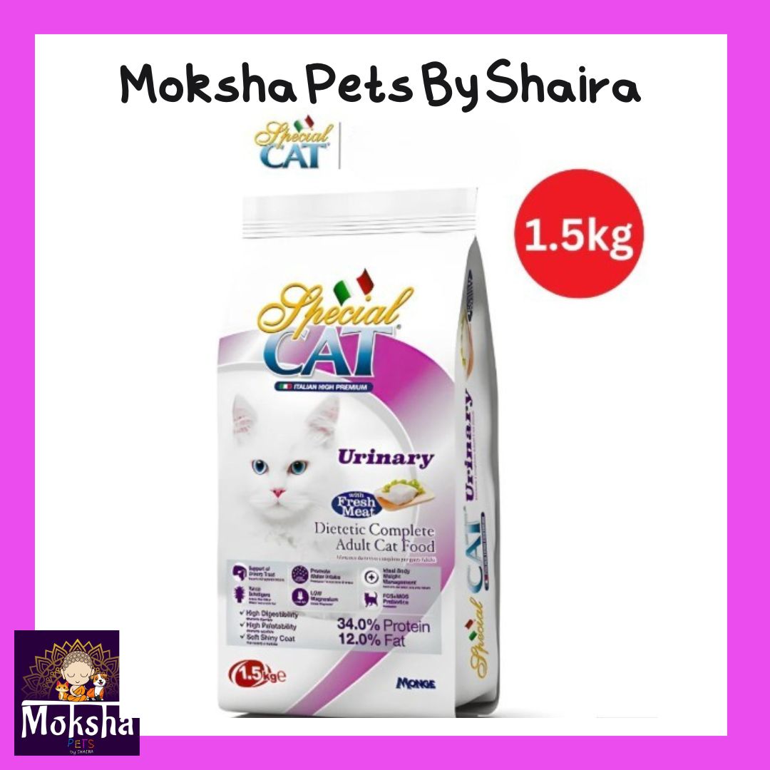 Special Cat Dry Food