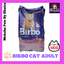 Birbo cat