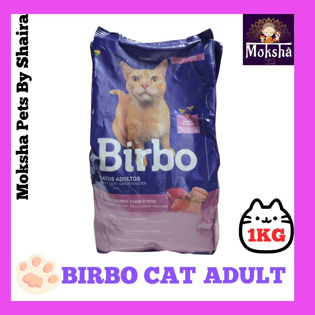 Birbo cat