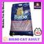 Birbo cat
