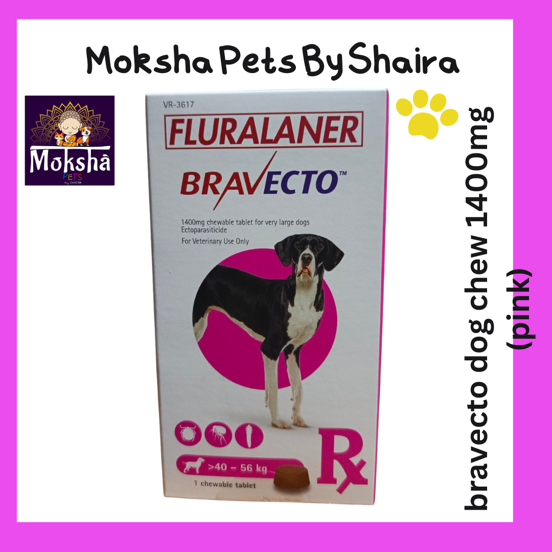 Bravecto Dog Chew