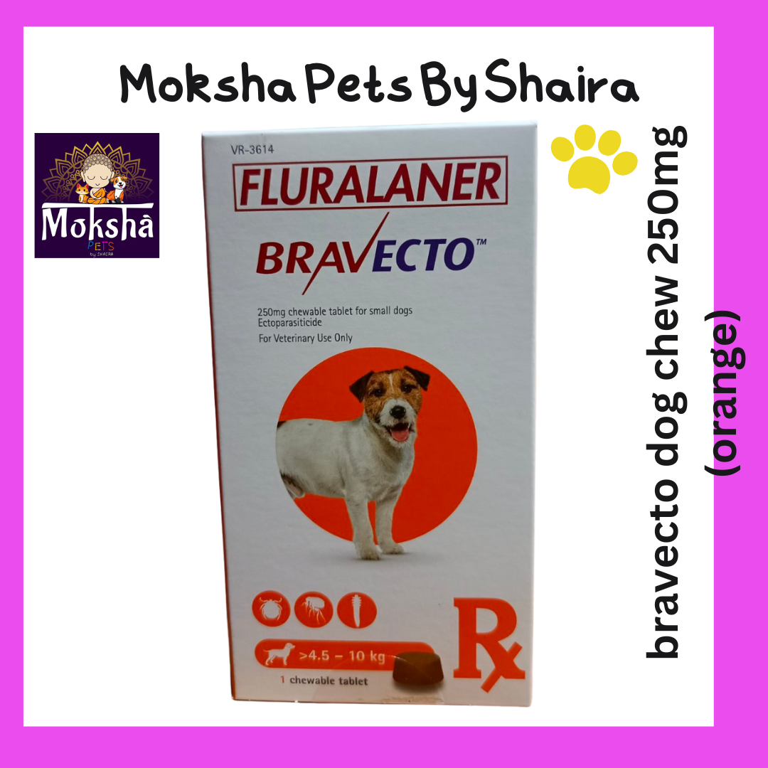 Bravecto Dog Chew