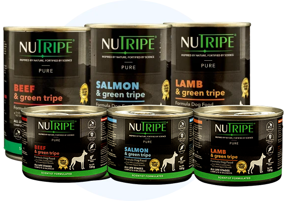 Nutripe Dog Can