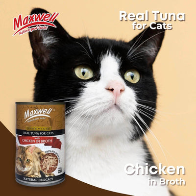 Maxwell cat can
