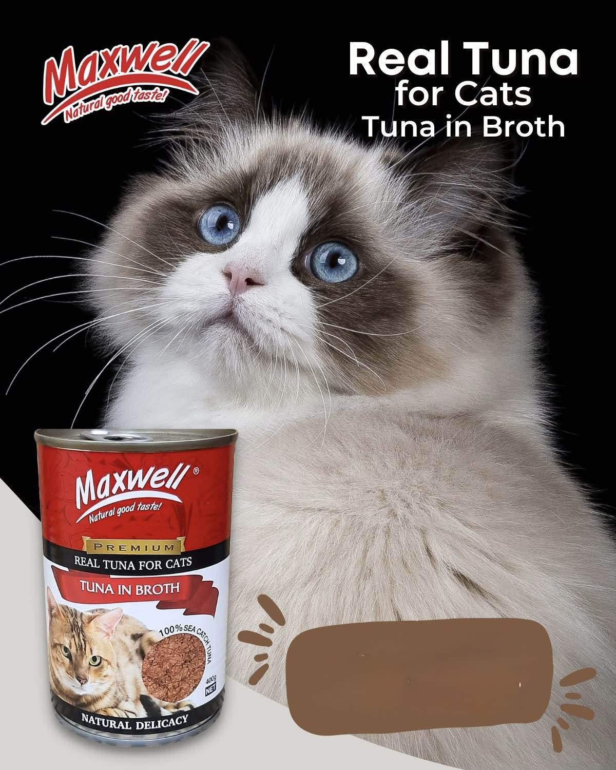 Maxwell cat can