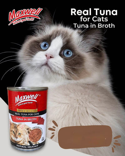 Maxwell cat can