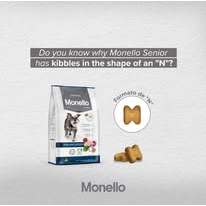 Monello Dog Adult