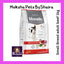 Monello Dog Adult