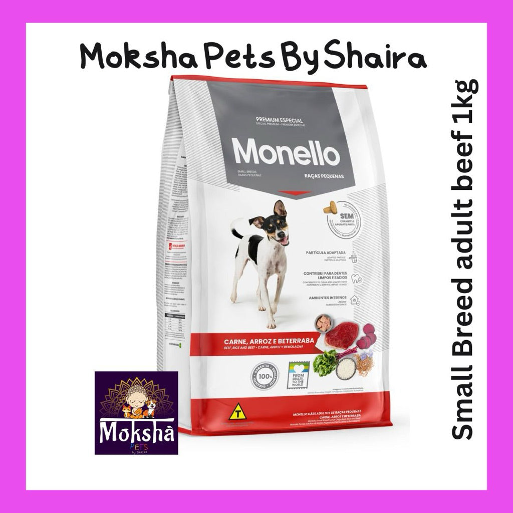 Monello Dog Adult