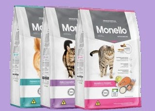 Monello cat Adult